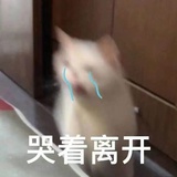我的小鱼干呢
