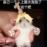 杨修（双6版