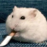 omom