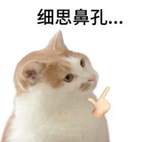 梦幻岛