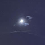 阿白