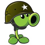 豆