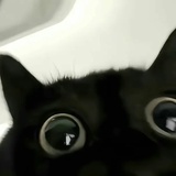 蛋糕