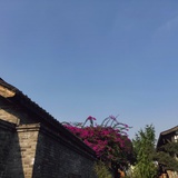 长行