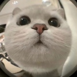乙