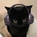 白茶