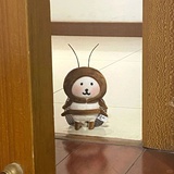纯情蟑螂火辣辣