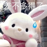 香橙泡泡冷萃