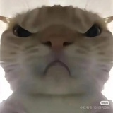 吴彦祖
