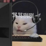 ondatraxk
