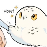十分暴躁！