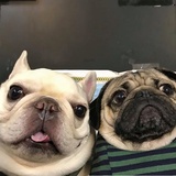 Littly