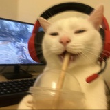 就酱活着