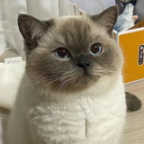 你管我呢