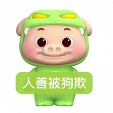 我不梨解