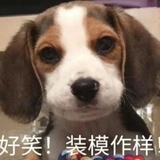 草莓奶冻