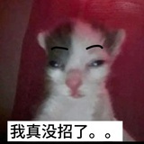 nono