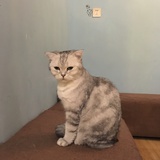 TT