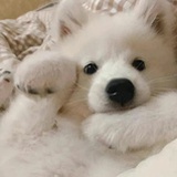 千千子