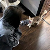 月光蔓延湖