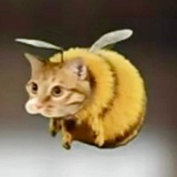 小满