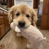 头发不能再掉了