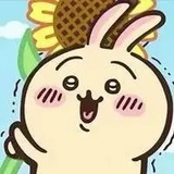 （⌒▽⌒）