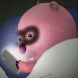 小护狮