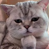 。