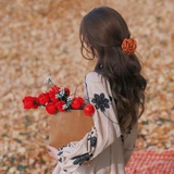 苏木