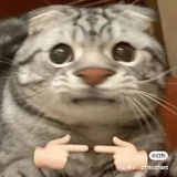 八喜