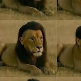肥猫不爱吃鱼