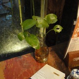 醒来闻到咖啡香