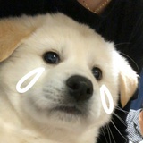 我是真讨厌酸奶