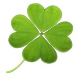 🍀