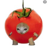 𝗧𝗼𝗺𝗮𝘁𝗼