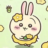 何时能早起