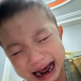 东东