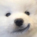 远山有灯