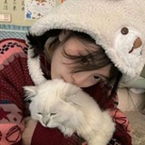 一坨小猫猫
