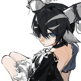 kaito
