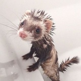 热薄荷奶绿.☆*: