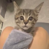 Cinvi