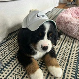 亚亚