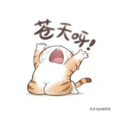 豆友Qo6PxWC2bc