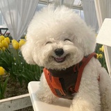 林林