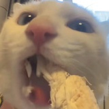 (｡ì _ í｡)