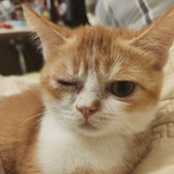 点点和呼呼