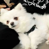 煎鸡蛋糊锅了