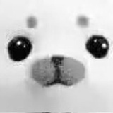 蛋蛋狗